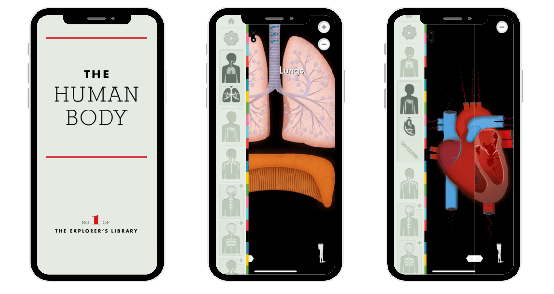 human body tinybop.png