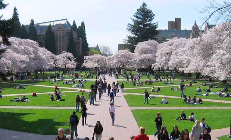 university of washington uw campus 