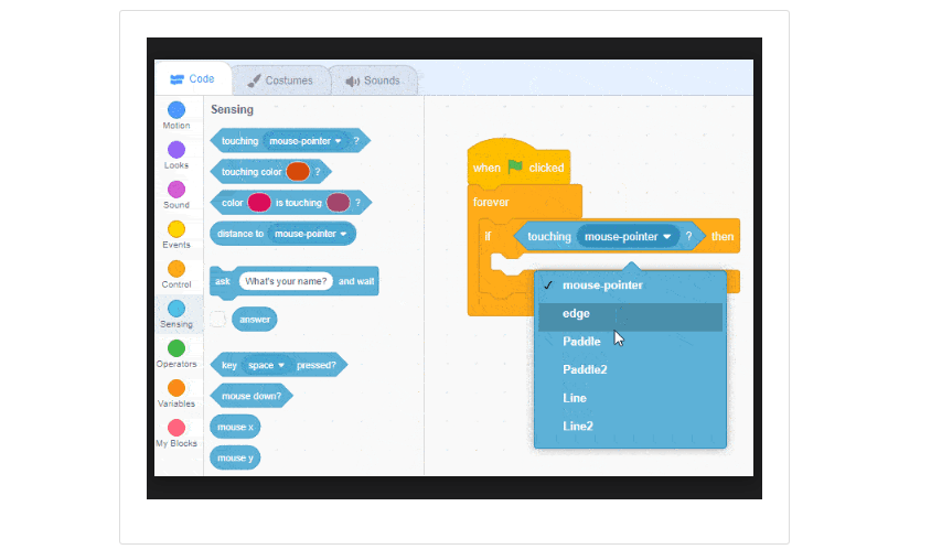 sense the paddle.png